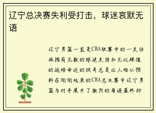 辽宁总决赛失利受打击，球迷哀默无语